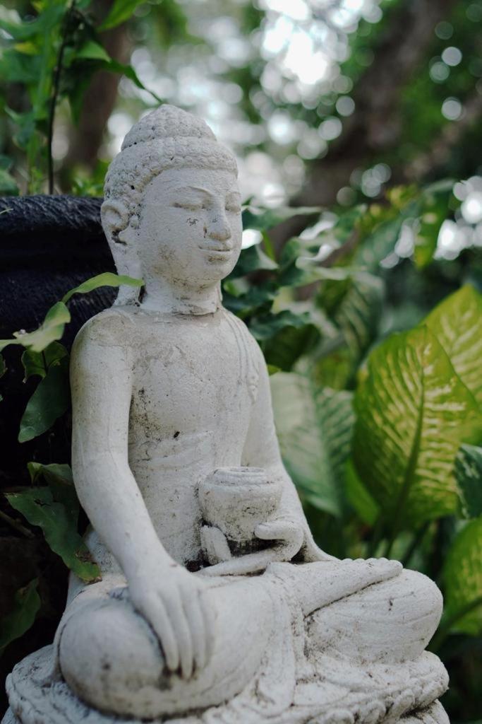 Sattva Yoga Retreat Villas Canggu Exteriér fotografie